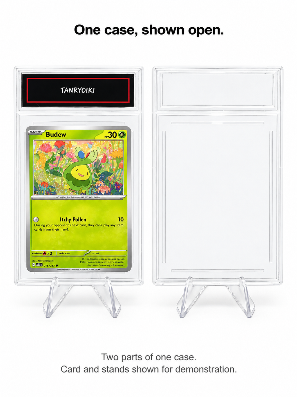 Open two-piece TANRYOIKI clear card display case