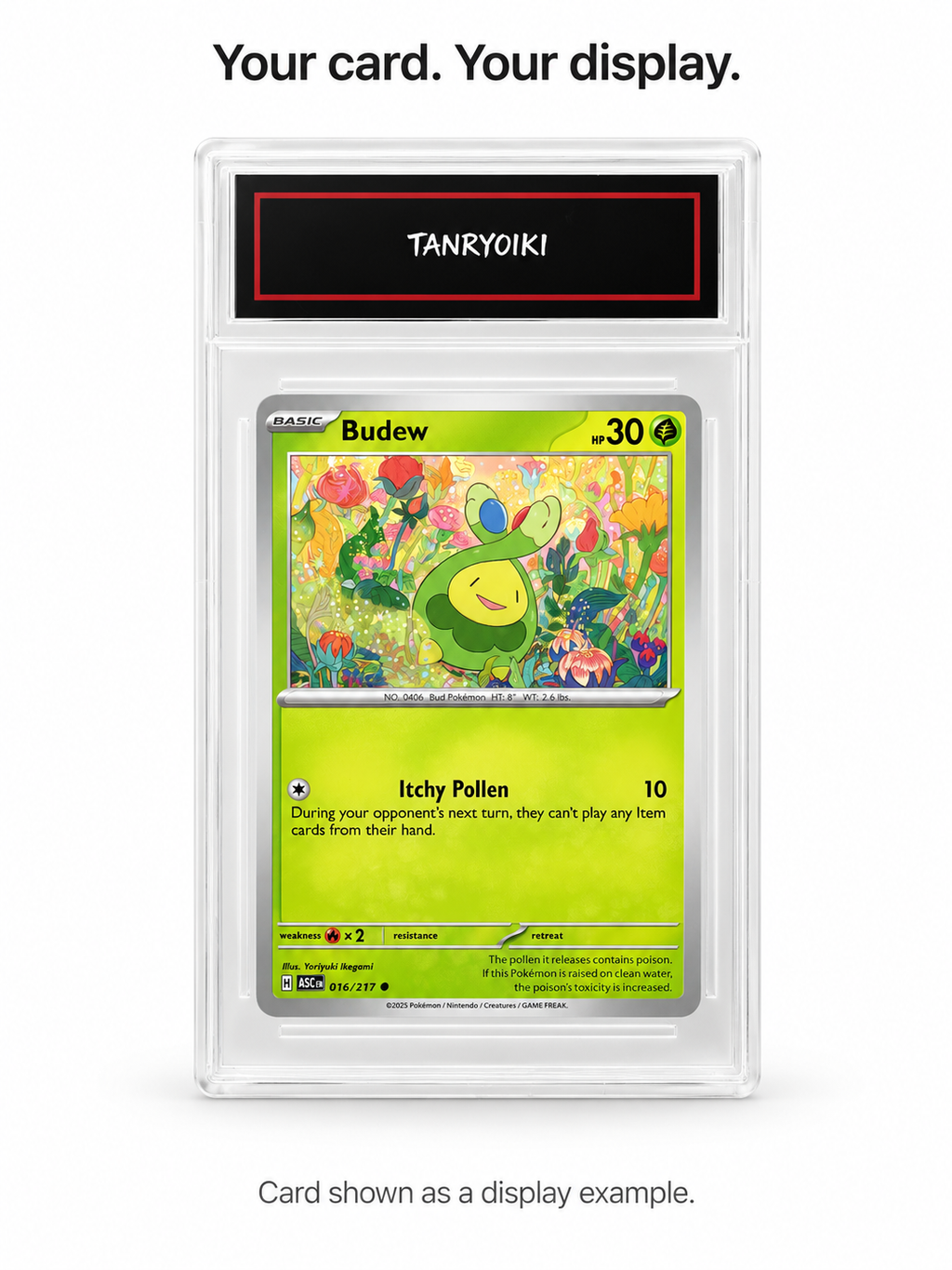 TANRYOIKI clear trading card display case holding a standard-size card